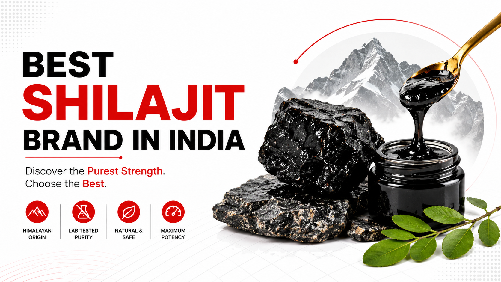 Best Shilajit Brand in India